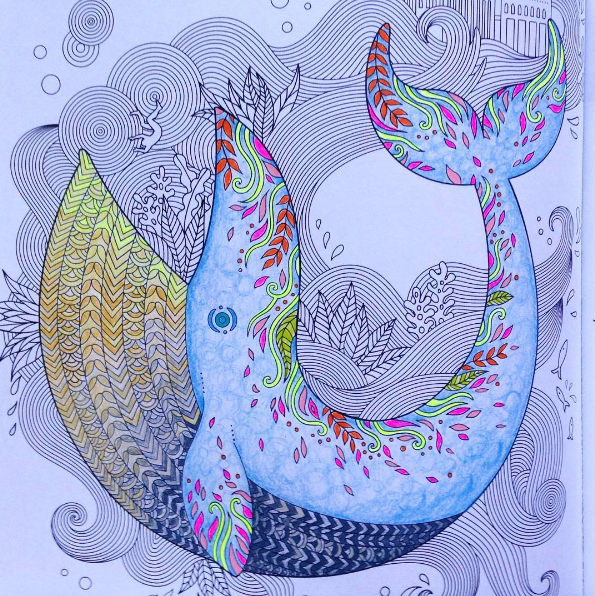jonah and the whale soul coats