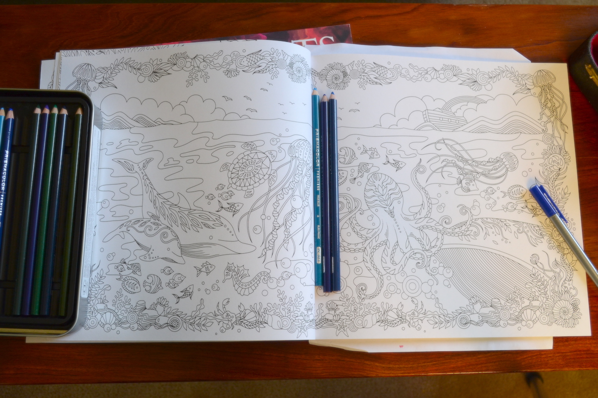 noah's flood adult coloring